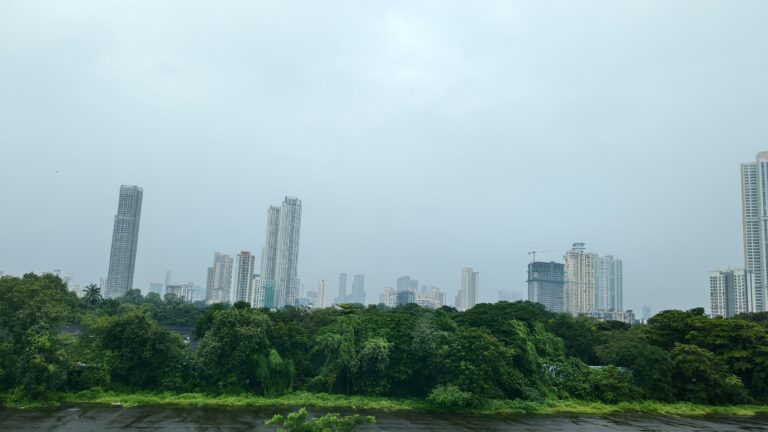 Protection and Preservation of City Forests in India – An Overview of Court Rulings that shaped the green cover of modern Indian cities.